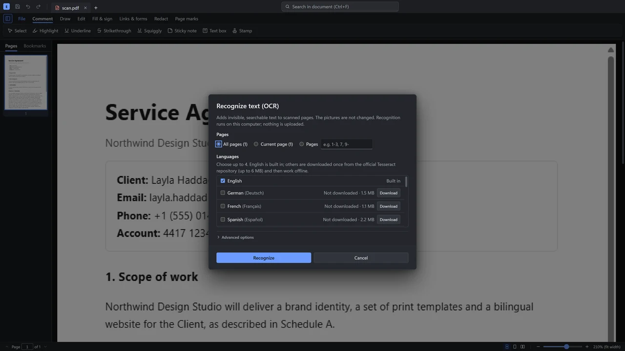 The Recognize text dialog with language choices